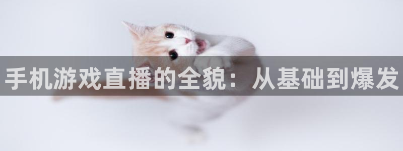蓝冠娱乐app下载：手机游戏直播的全貌：从基础到爆发