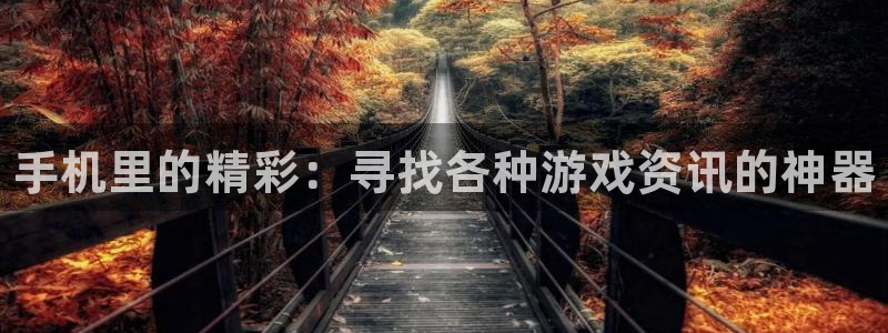 蓝冠娱乐注册登录：手机里的精彩：寻找各种游戏资讯的神器