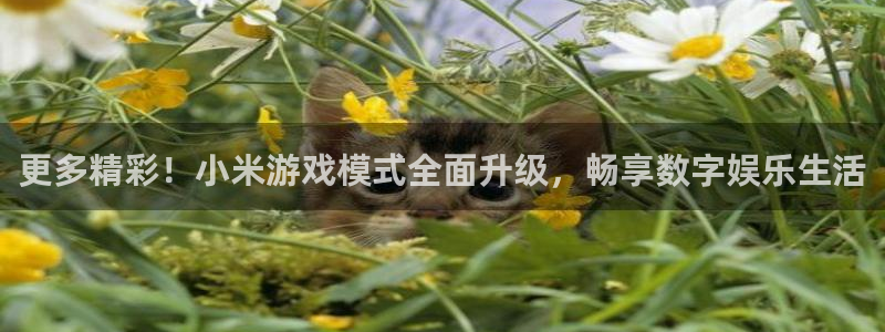 蓝冠娱乐平台官方网站：更多精彩！小米游戏模式全面升级，畅享数