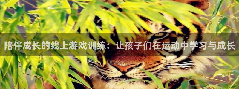 蓝冠娱乐app：陪伴成长的线上游戏训练：让孩子们在运动中学习