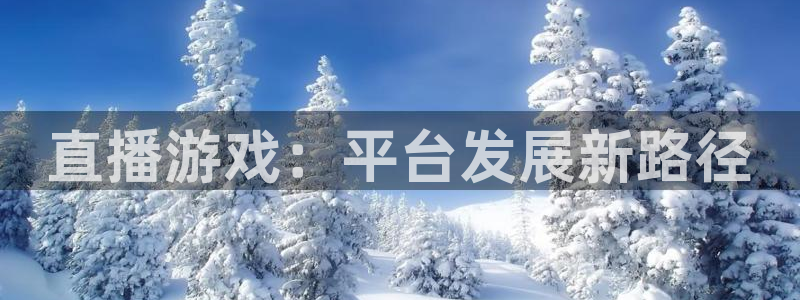 蓝冠娱乐注册：直播游戏：平台发展新路径
