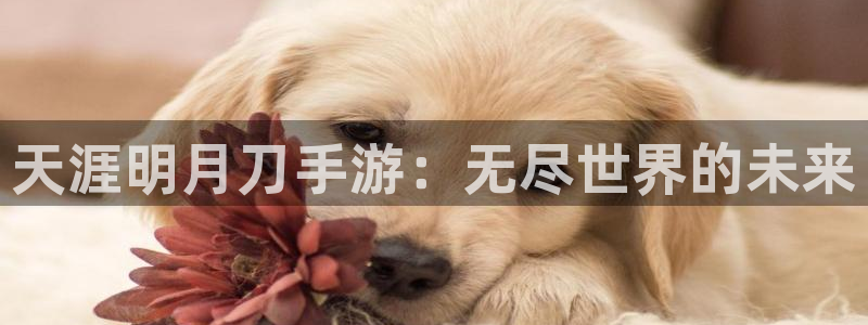 蓝冠娱乐平台