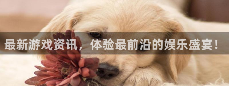 蓝冠娱乐代理登陆：最新游戏资讯，体验最前沿的娱乐盛宴！