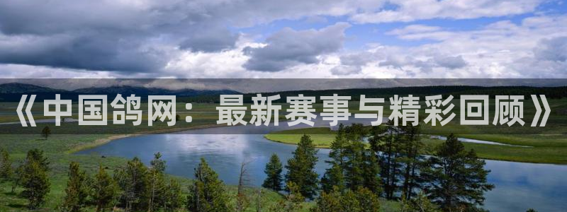 劲爆体育直播观看：《中国鸽网：最新赛事与精彩回顾》