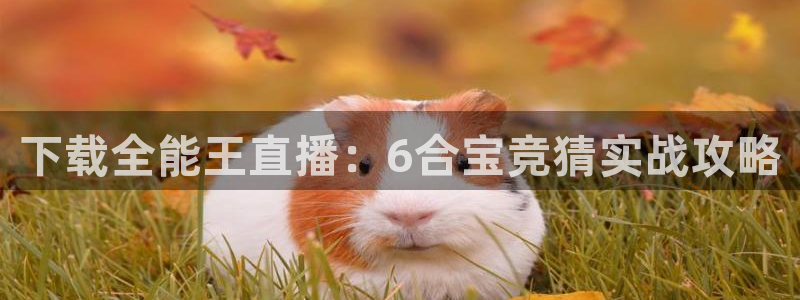 劲爆体育在线直播nba：下载全能王直播：6合宝竞猜实战攻略