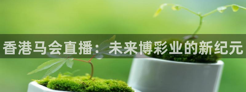 劲爆体育nba直播视频免费观看：香港马会直播：未来博彩业的新纪元