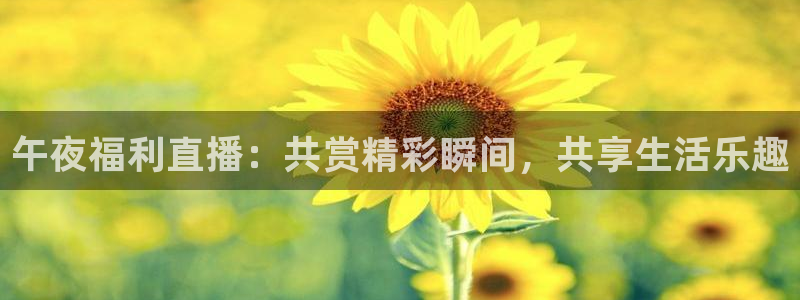 劲爆体育直播在线观看：午夜福利直播：共赏精彩瞬间，共享生活乐趣