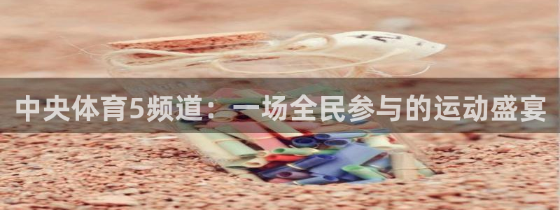 劲爆体育频道在线直播：中央体育5频道：一场全民参与的运动盛宴