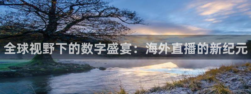 劲爆体育网络直播：全球视野下的数字盛宴：海外直播的新纪元