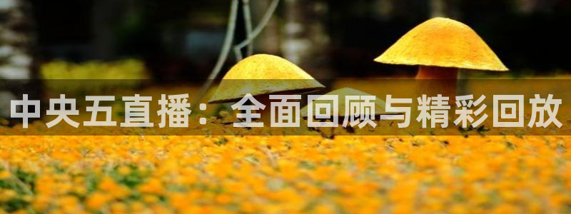 劲爆体育nba在线直播：中央五直播：全面回顾与精彩回放