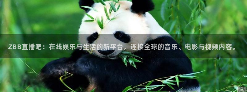 劲爆体育比赛直播：ZBB直播吧：在线娱乐与生活的新平台，连接全球的音乐、电影与视频内容。
