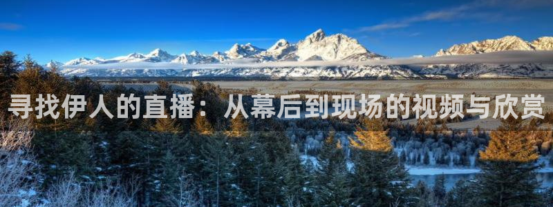 劲爆体育频道在线观看免费：寻找伊人的直播：从幕后到现场的视频与欣赏