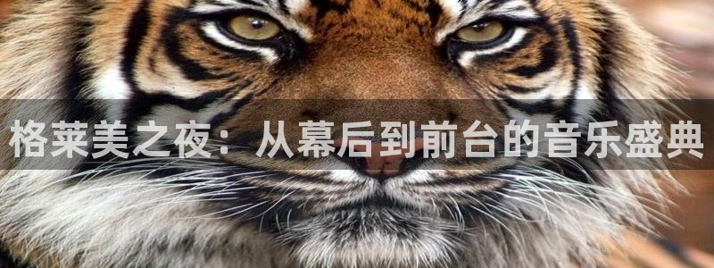 劲爆体育无插件直播：格莱美之夜：从幕后到前台的音乐盛典